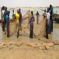 Peche des membres de l op de kano